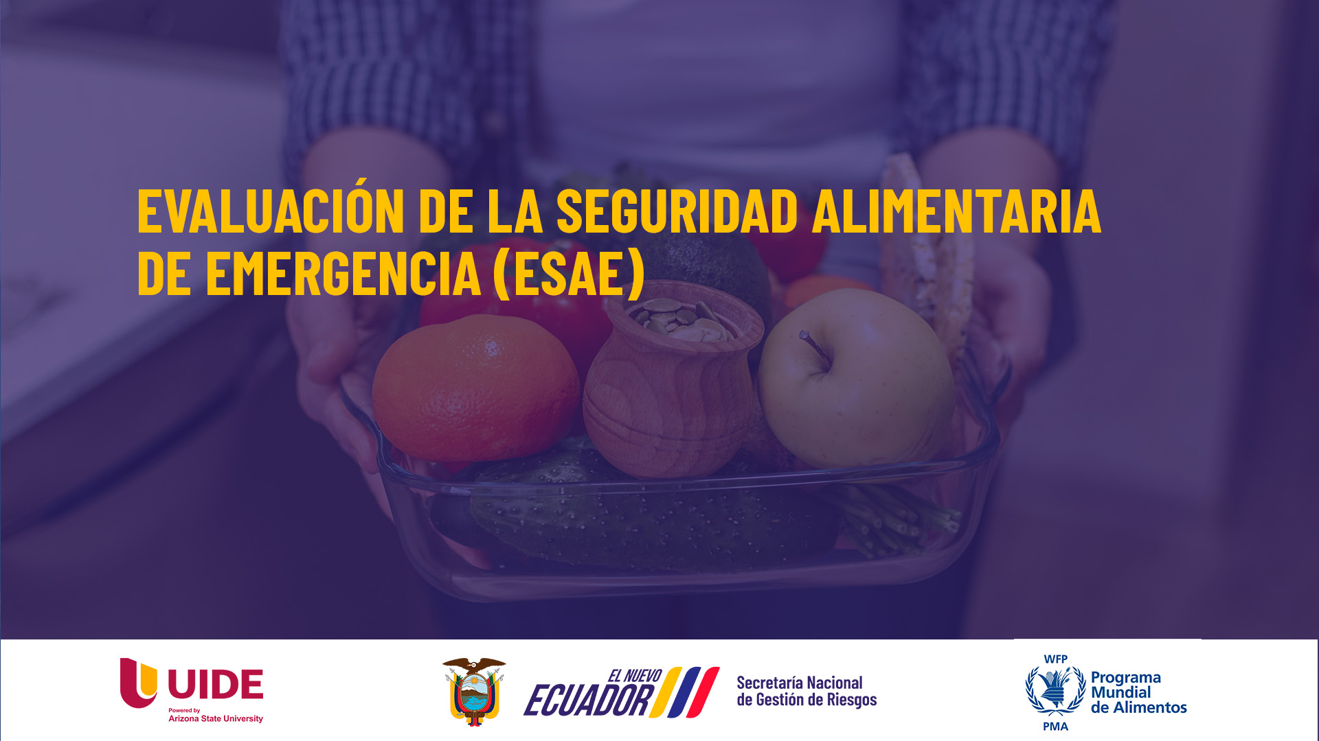 Evaluación de Seguridad Alimentaria en Emergencia-ESAE UIDE002